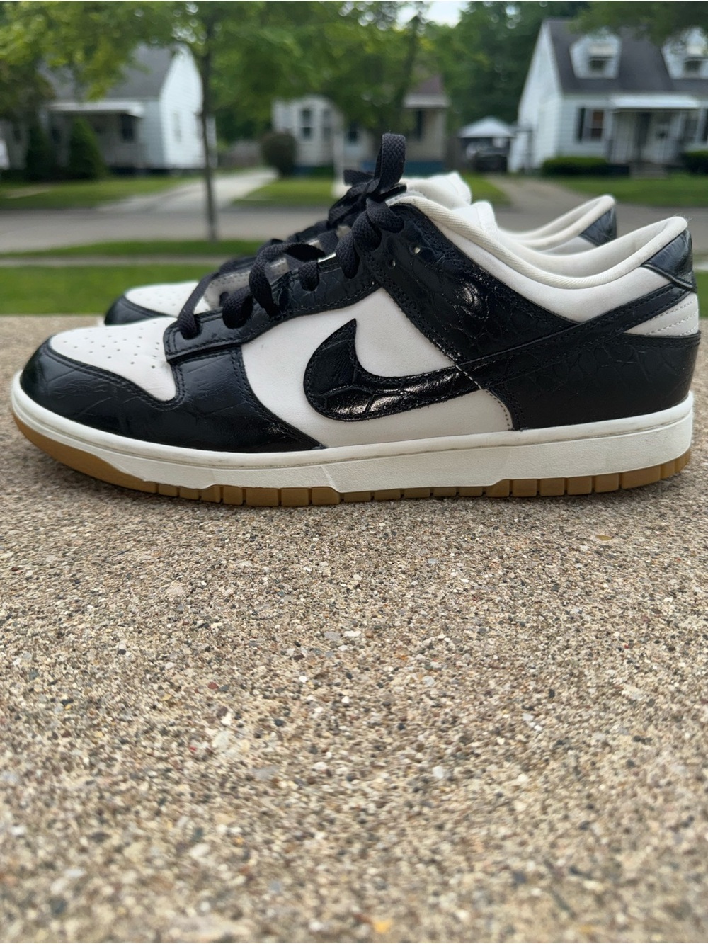 Nike Dunk Low LX Women's Shoes